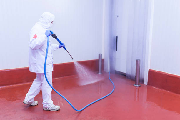 Pre-Holiday Cleaning in Shoreline, WA